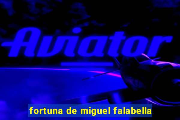 fortuna de miguel falabella